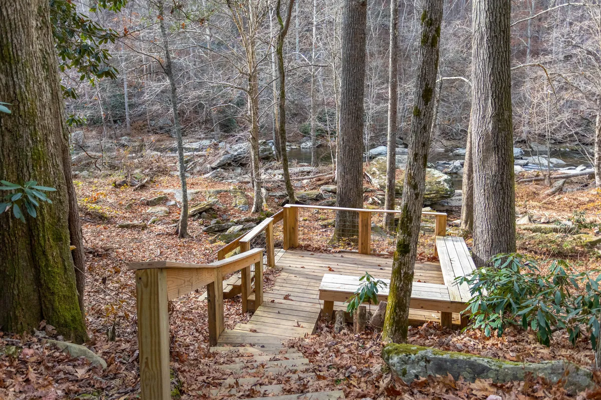 A wooden platform with stairs provides a vantage point over a gentle stream, surrounded by trees. The natural setting suggests space for hiking, exploring, and observing wildlife, ideal for guests and their dogs to discover together.