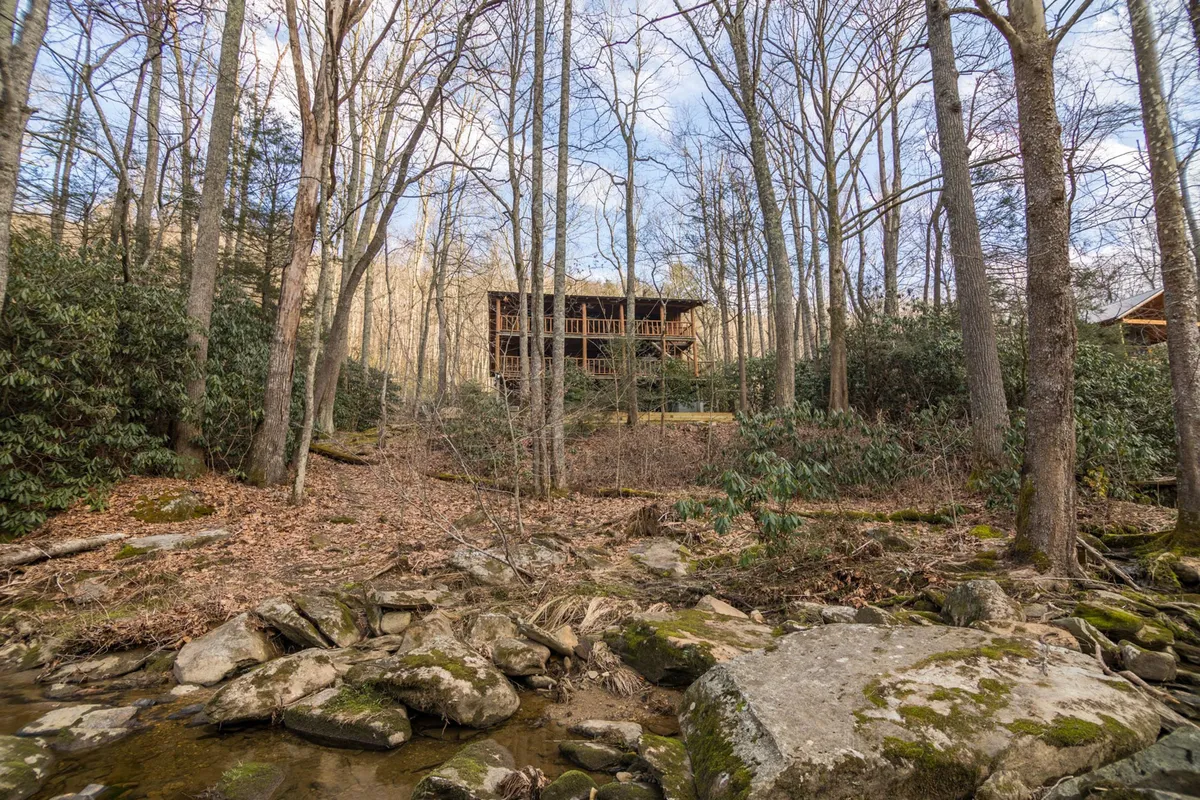 A rustic wooden cabin sits among trees with a stream and rocky terrain nearby. The setting feels peaceful and secluded, suggesting a true retreat for dogs and their owners to enjoy nature together.