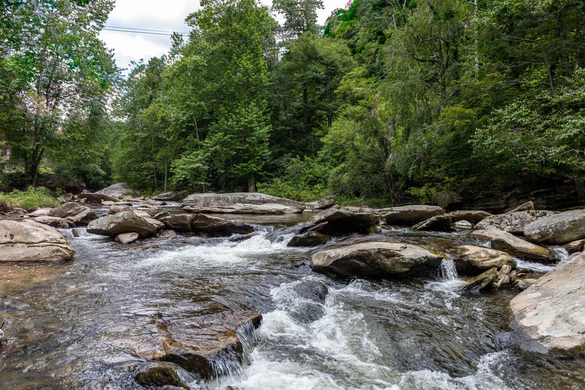 A wide, gorgeous view of the flowing Watauga River surrounded by large boulders and lush greenery. The river is the centerpiece, framed by trees and natural landscape, inviting thoughts of fishing, hiking, and tranquil picnics right at the water's edge.